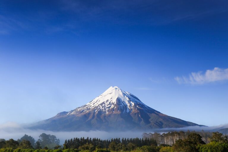 A Complete Guide to Creating Beautiful Landscapes Landscapes