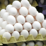 Are broiler Eggs good for your Health or not